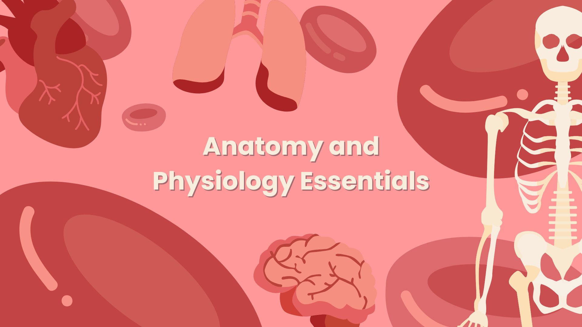 Anatomy and Physiology Essentials